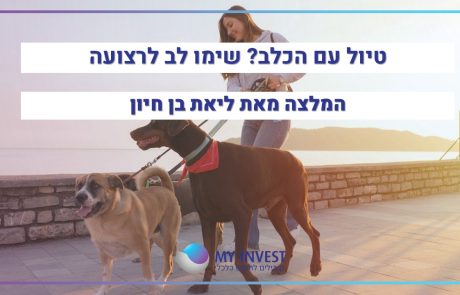 טיול עם הכלב? שימו לב לרצועה | המלצה מאת ליאת בן חיון