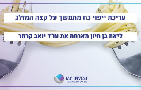 עריכת ייפוי כח מתמשך  על קצה המזלג